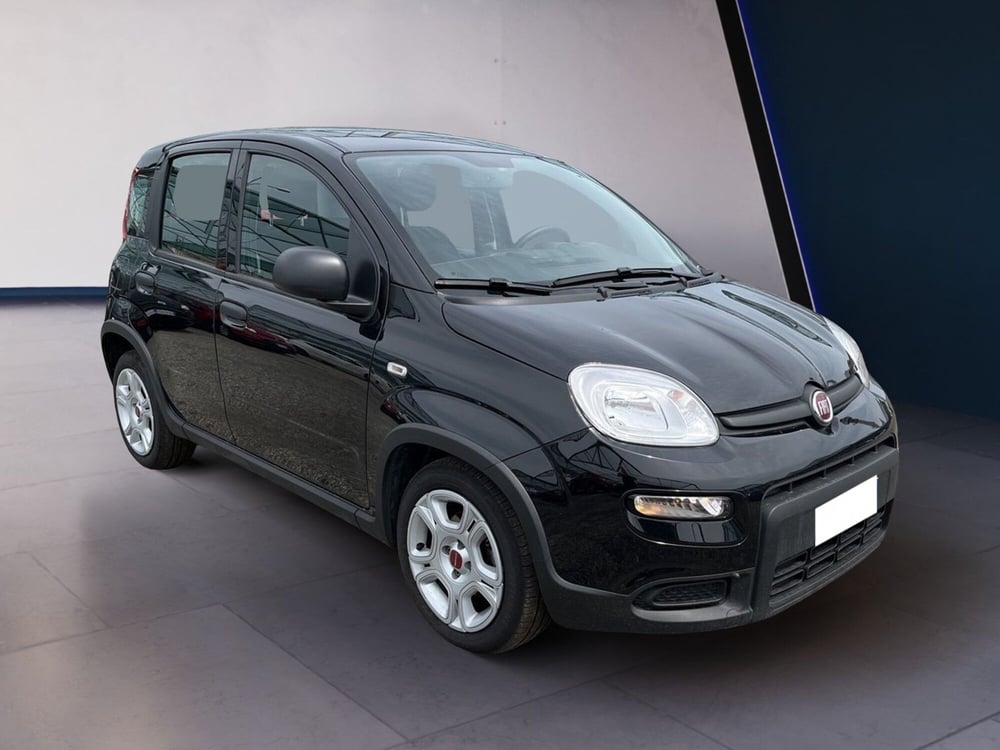 Fiat Panda usata a Torino (3)