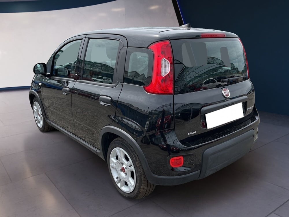 Fiat Panda usata a Torino (6)