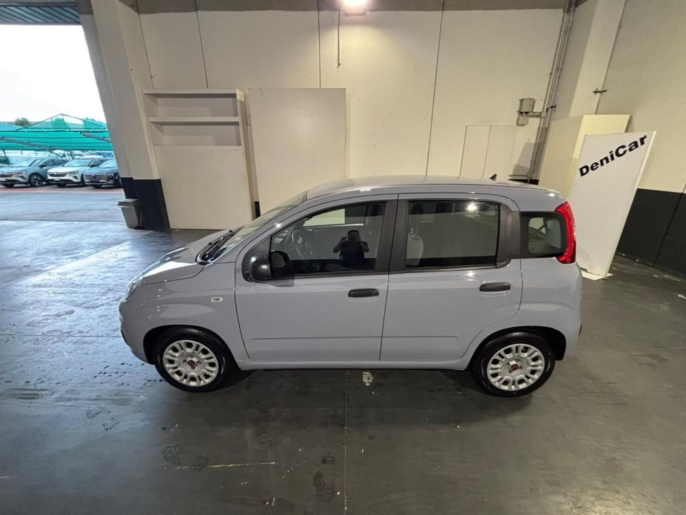 Fiat Panda Cross usata a Milano (4)