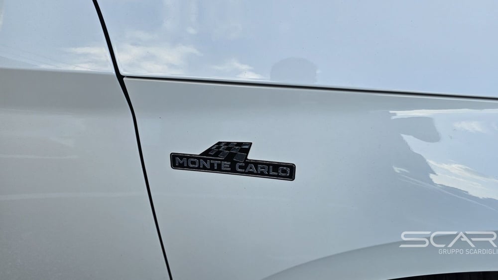 Skoda Kamiq usata a Livorno (11)