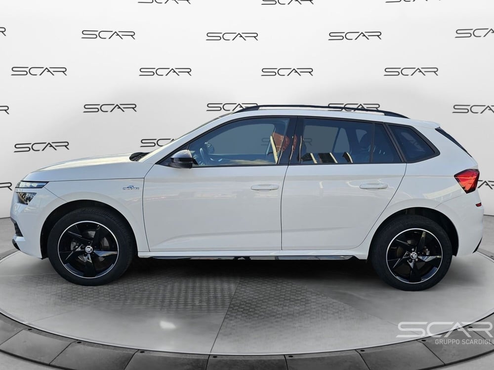 Skoda Kamiq usata a Livorno (2)