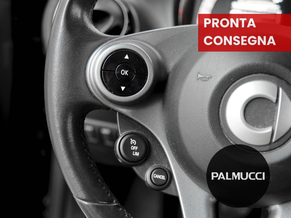 smart Fortwo usata a Prato (11)