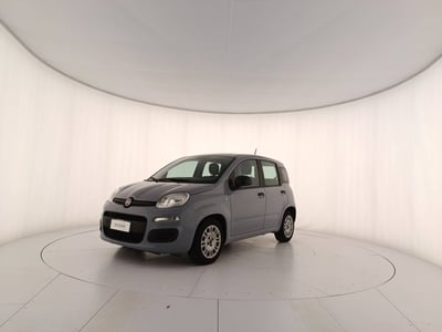 Fiat Panda 1.0 firefly hybrid s&amp;s 70cv 5p.ti del 2021 usata a Treviso