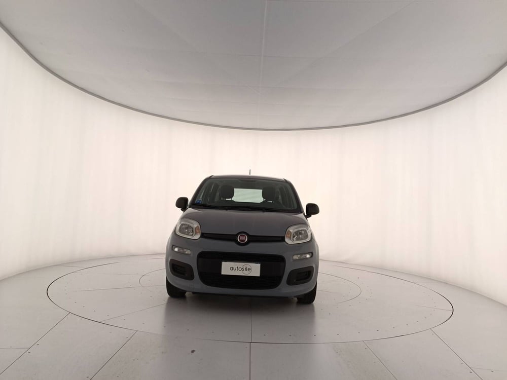 Fiat Panda usata a Treviso (2)
