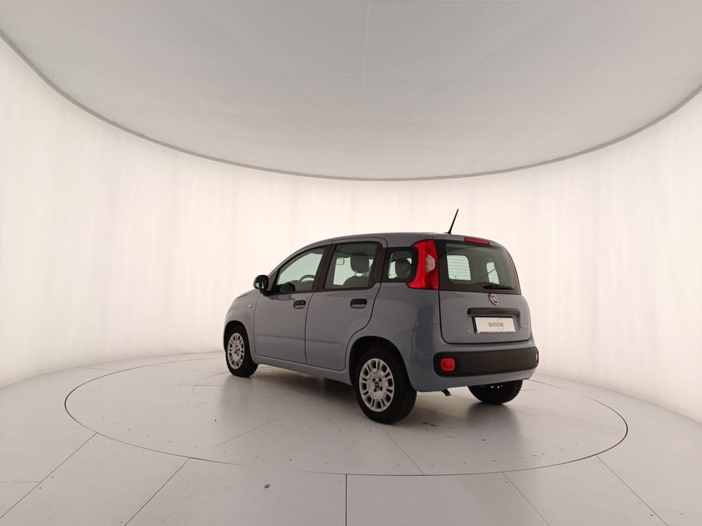 Fiat Panda usata a Treviso (4)
