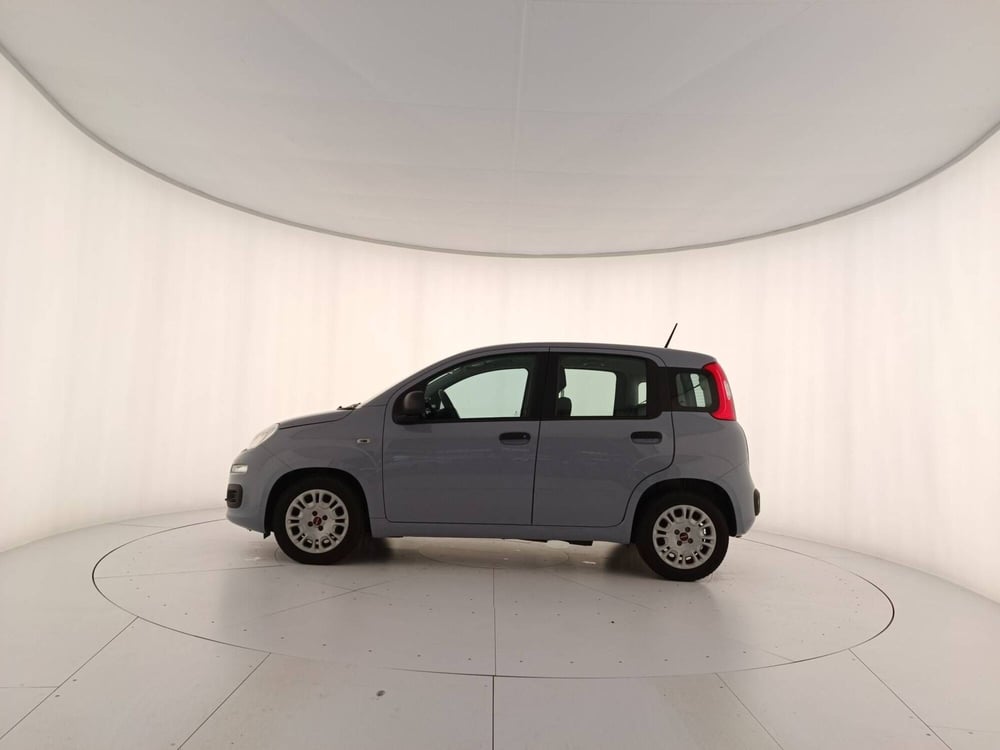 Fiat Panda usata a Treviso (8)