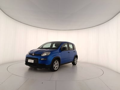 Fiat Panda 1.0 firefly hybrid s&amp;s 70cv 5p.ti del 2024 usata a Treviso
