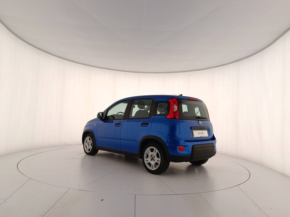 Fiat Panda usata a Treviso (4)