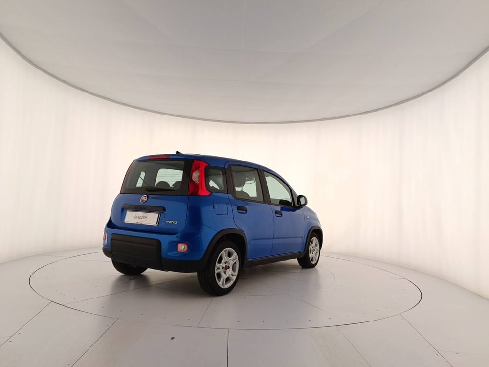 Fiat Panda usata a Treviso (6)
