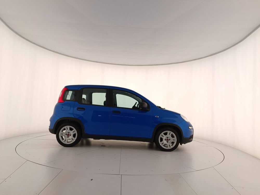 Fiat Panda usata a Treviso (7)