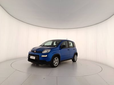 Fiat Panda 1.0 firefly hybrid s&amp;s 70cv 5p.ti del 2024 usata a Treviso