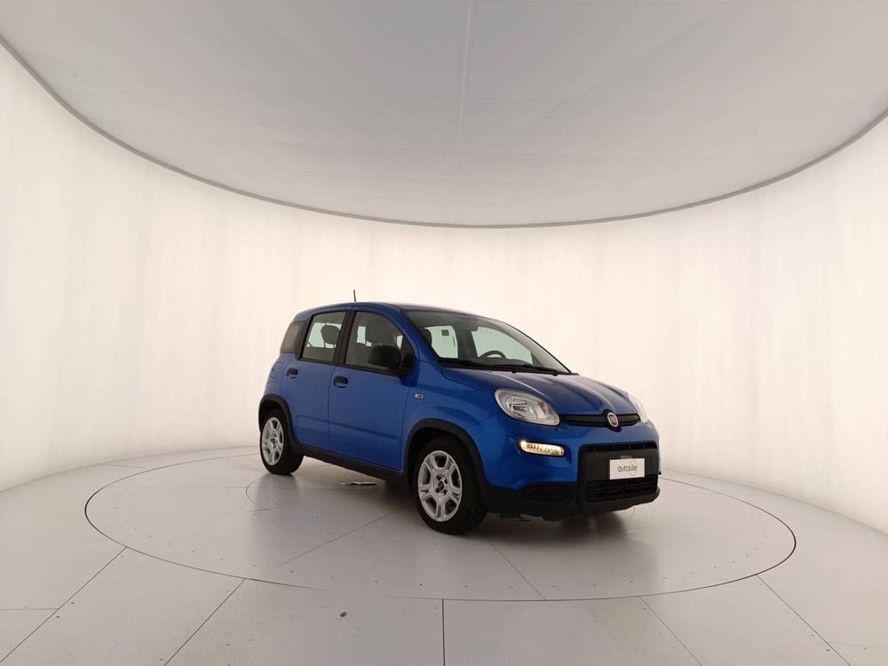 Fiat Panda usata a Treviso (3)