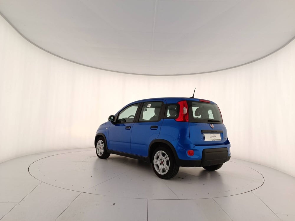 Fiat Panda usata a Treviso (4)