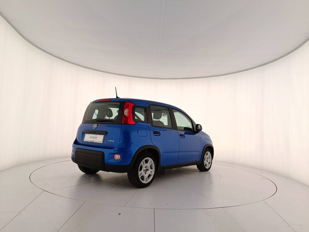 Fiat Panda usata a Treviso (6)