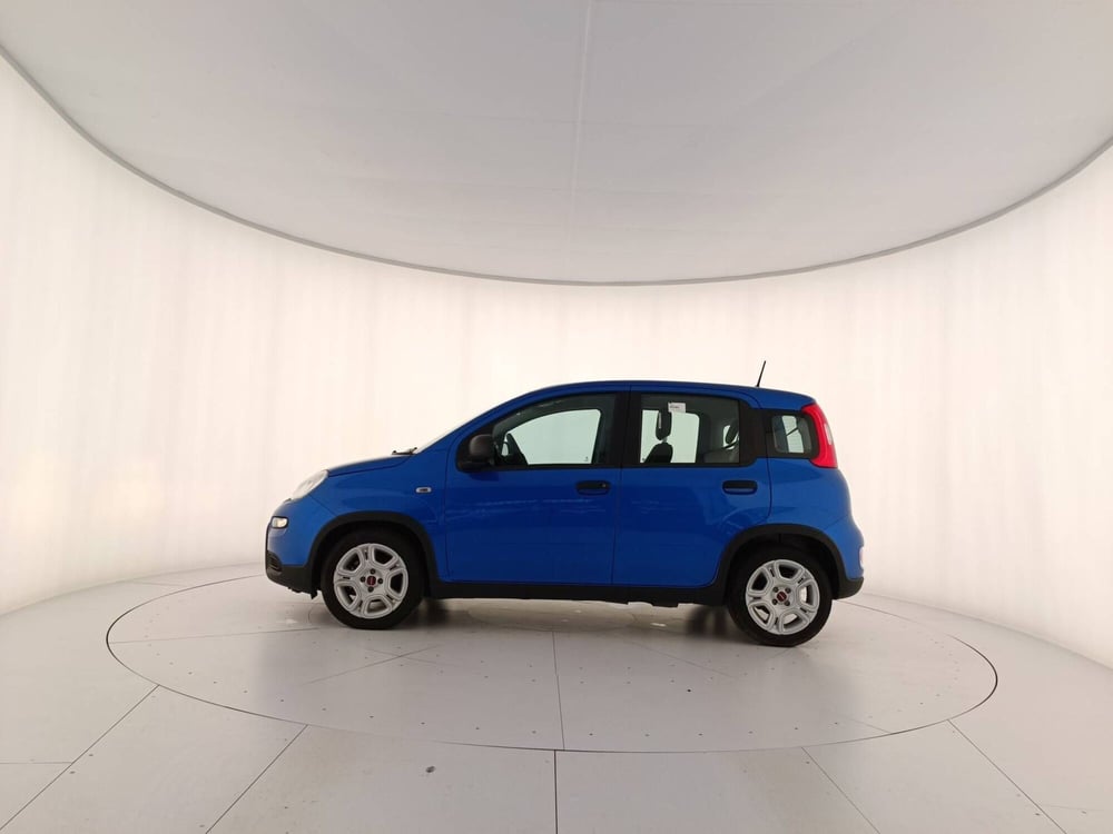Fiat Panda usata a Treviso (8)