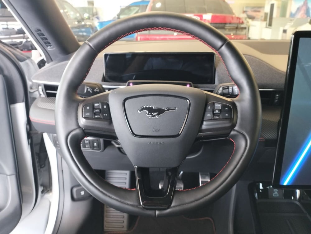 Ford Mustang Mach-E usata a Novara (13)