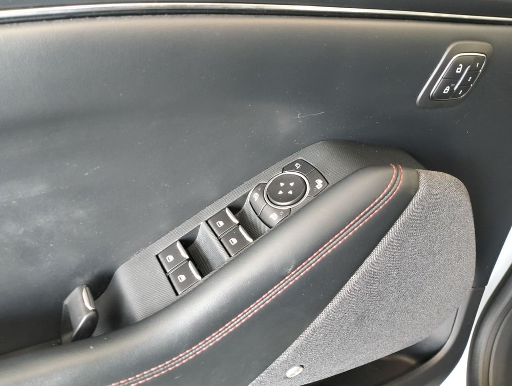 Ford Mustang Mach-E usata a Novara (15)