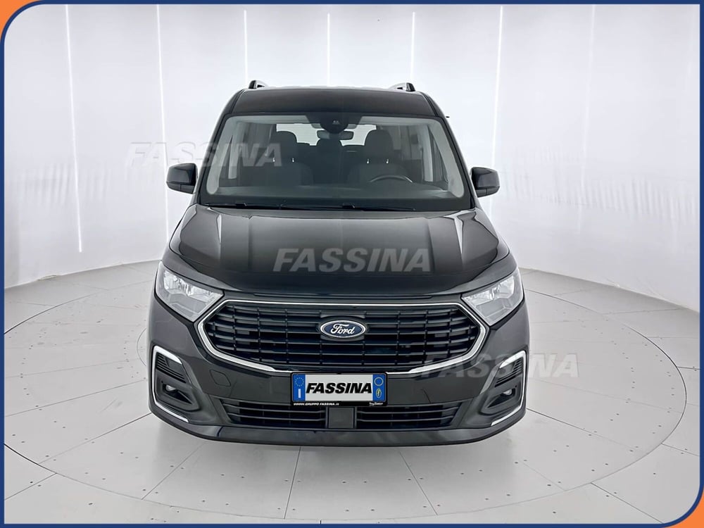 Ford Tourneo Connect usata a Milano (2)