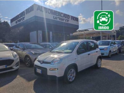 Fiat Panda 1.0 firefly hybrid s&amp;s 70cv 5p.ti del 2023 usata a Roma