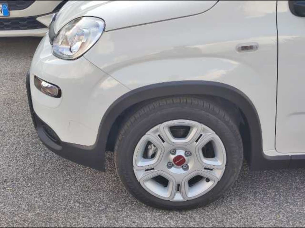 Fiat Panda usata a Roma (15)