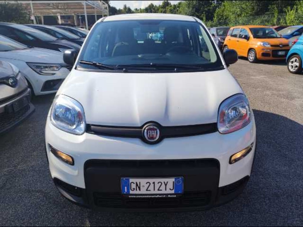 Fiat Panda usata a Roma (2)