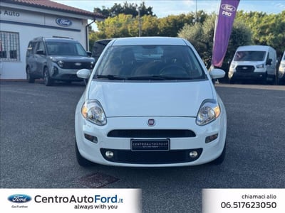Fiat Punto 1.2 8V 5 porte Easy del 2015 usata a Albano Laziale