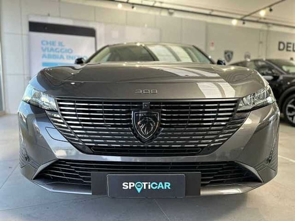 Peugeot 308 SW usata a Venezia (5)