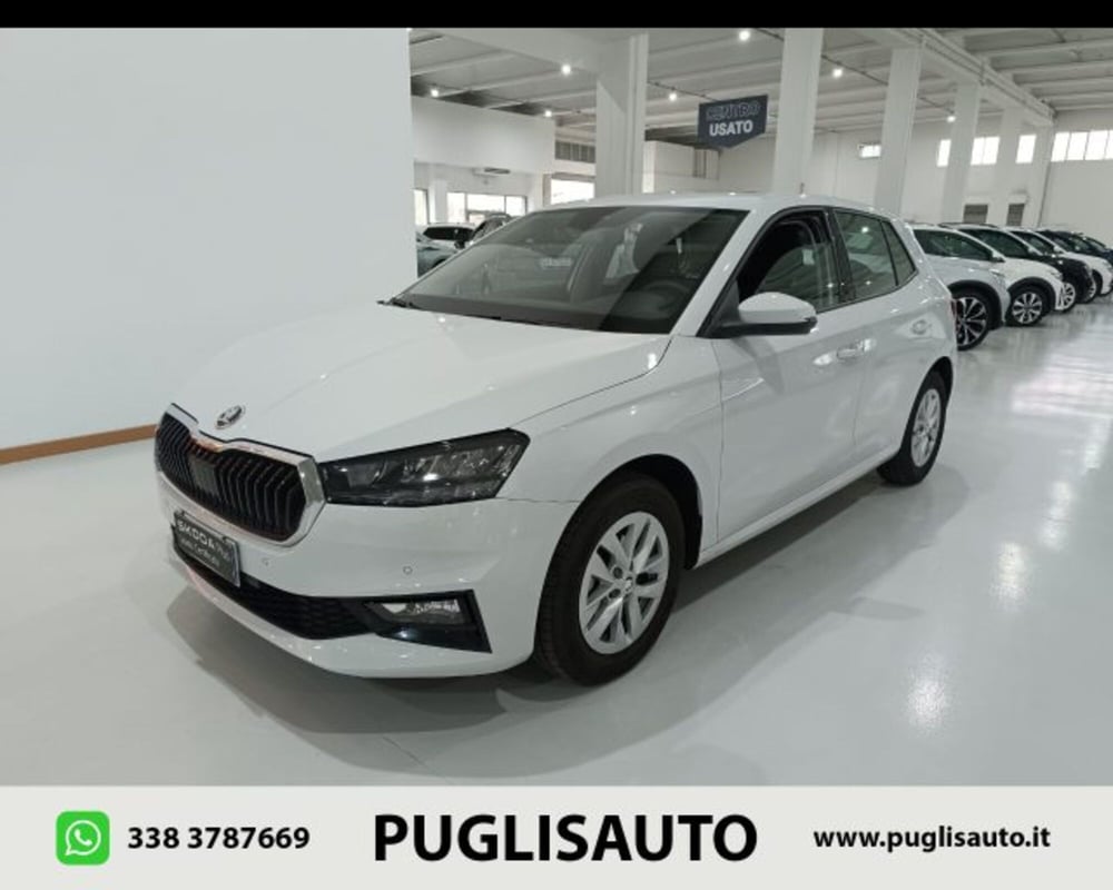 Skoda Fabia usata a Catania (3)