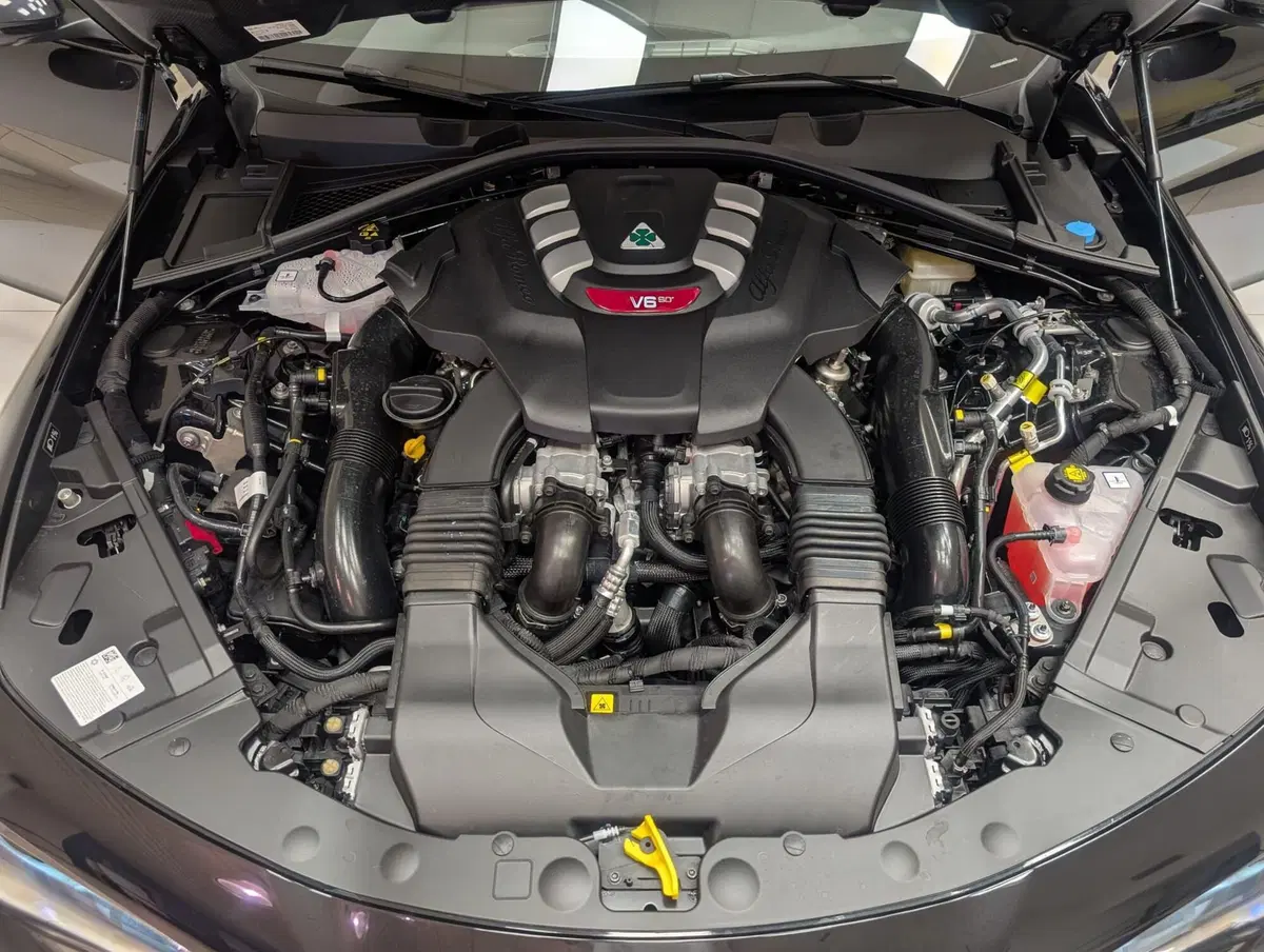 Alfa Romeo Giulia nuova a Teramo (10)