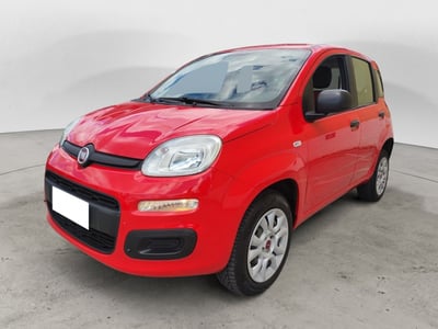 Fiat Panda 0.9 TwinAir Turbo Natural Power Easy del 2020 usata a Sala Consilina