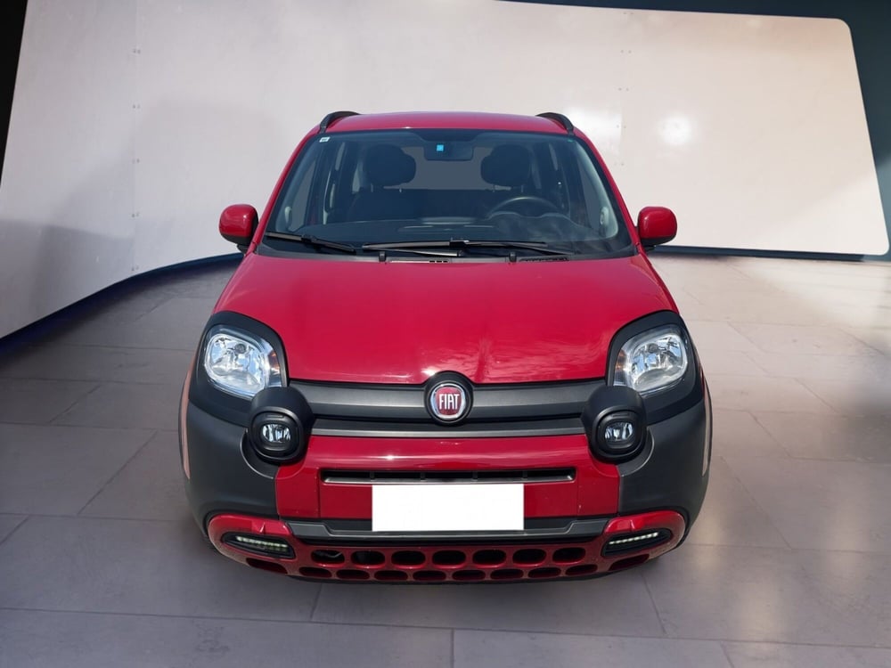 Fiat Panda Cross usata a Torino