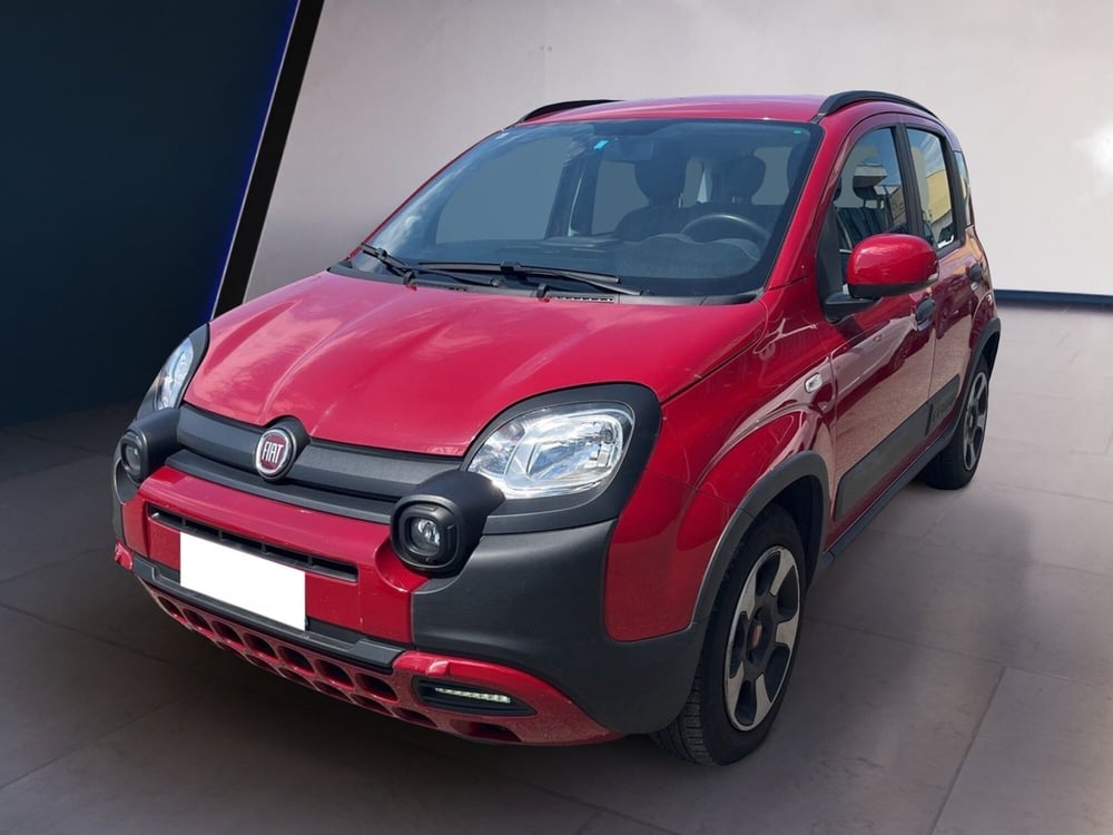Fiat Panda Cross usata a Torino (2)