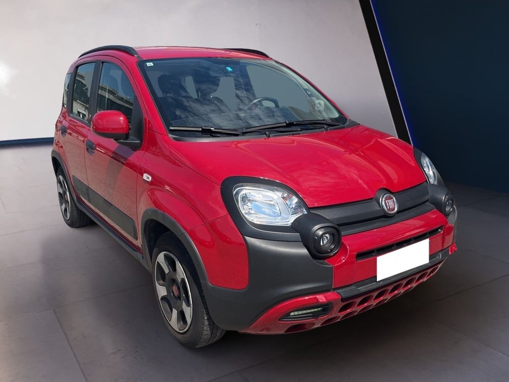Fiat Panda Cross usata a Torino (3)