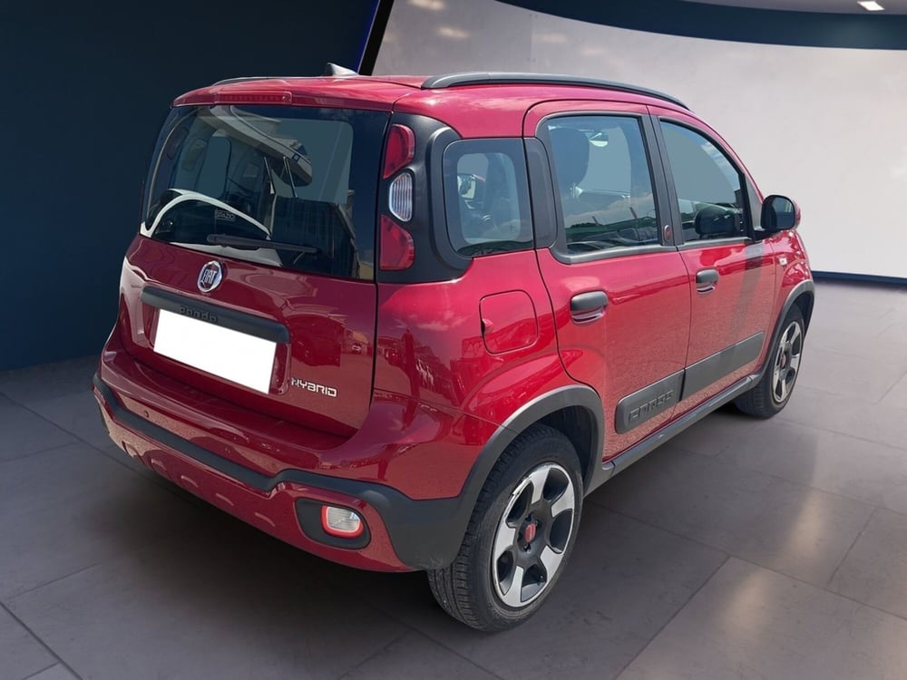 Fiat Panda Cross usata a Torino (4)