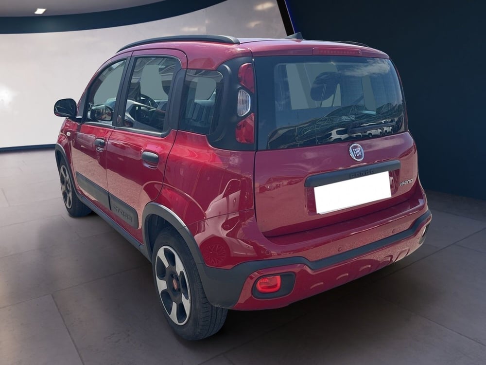 Fiat Panda Cross usata a Torino (5)