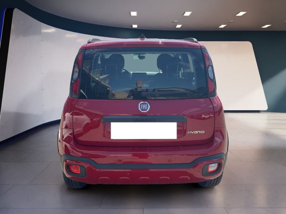 Fiat Panda Cross usata a Torino (6)