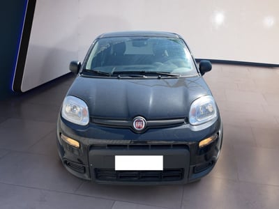 Fiat Panda 1.0 firefly hybrid s&amp;s 70cv 5p.ti del 2024 usata a Torino