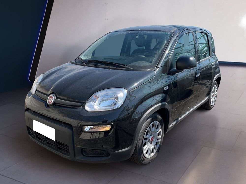 Fiat Panda usata a Torino (2)