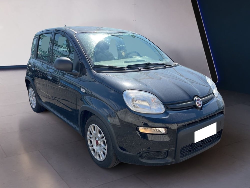 Fiat Panda usata a Torino (3)