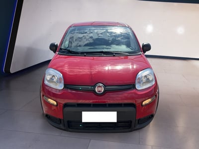 Fiat Panda 1.0 firefly hybrid s&amp;s 70cv del 2024 usata a Torino