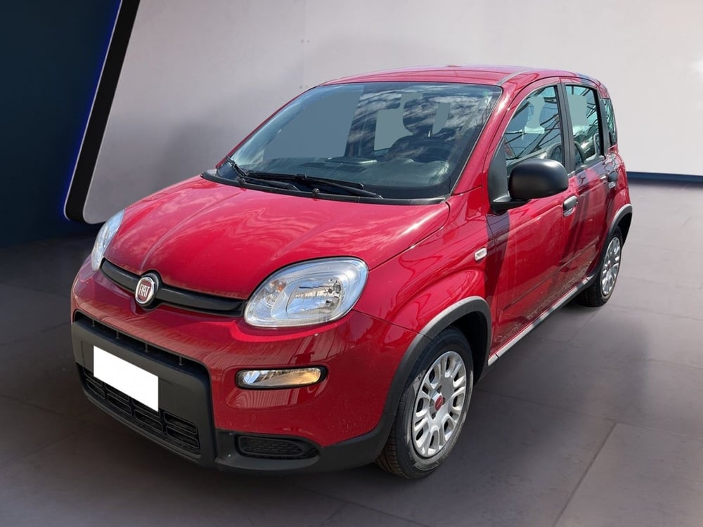 Fiat Panda usata a Torino (2)