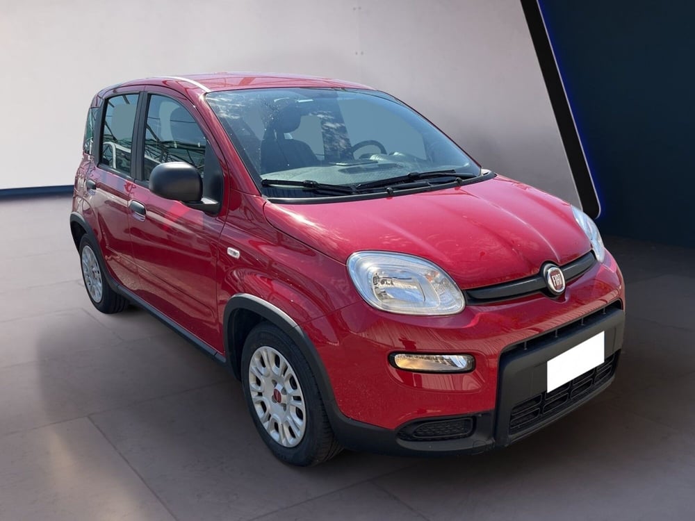 Fiat Panda usata a Torino (3)