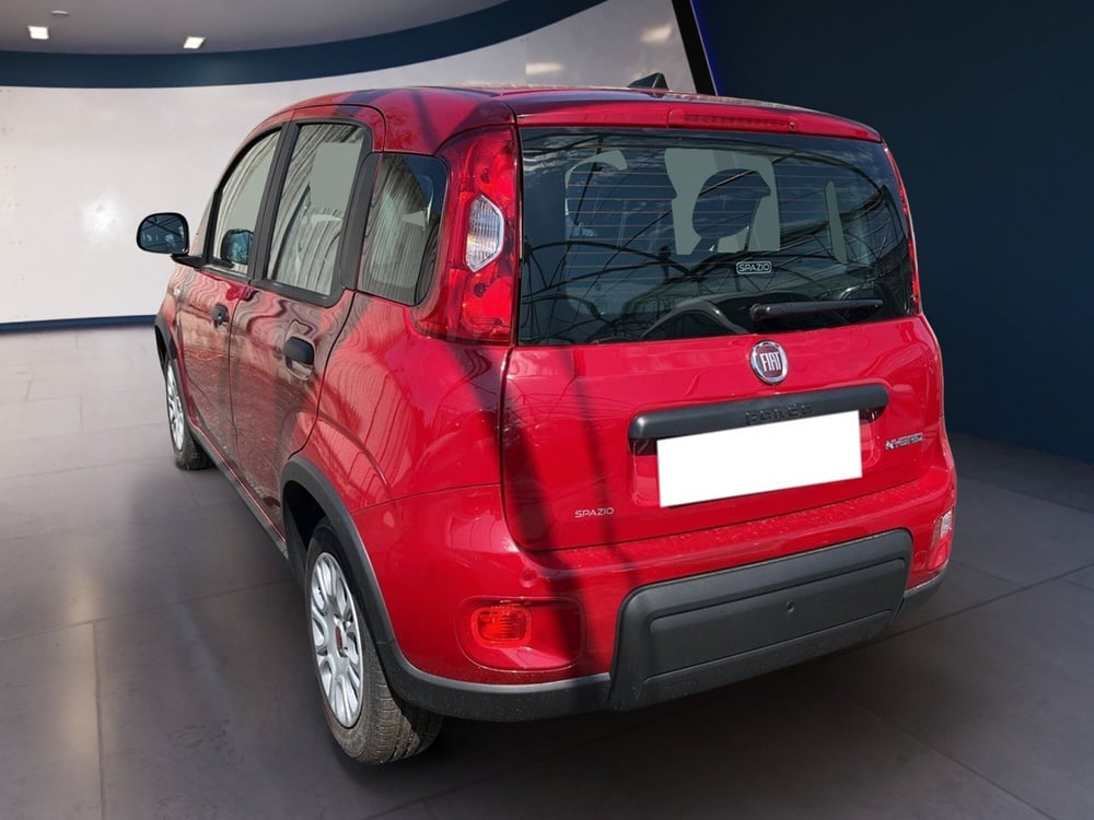 Fiat Panda usata a Torino (5)