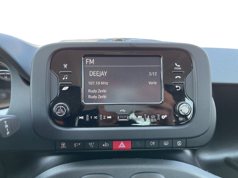 Fiat Panda usata a Torino (12)