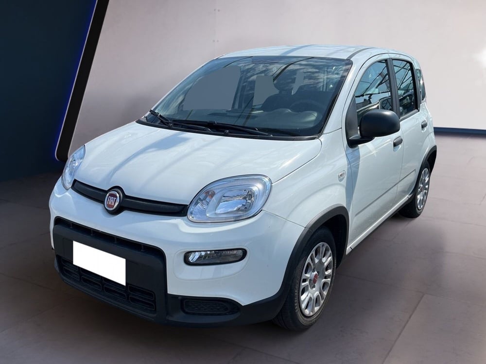 Fiat Panda usata a Torino (2)