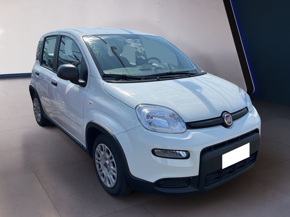 Fiat Panda usata a Torino (3)