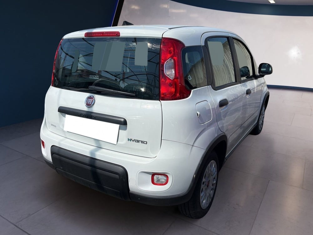Fiat Panda usata a Torino (4)