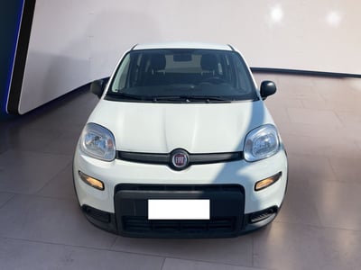 Fiat Panda 1.0 firefly hybrid s&amp;s 70cv del 2024 usata a Torino