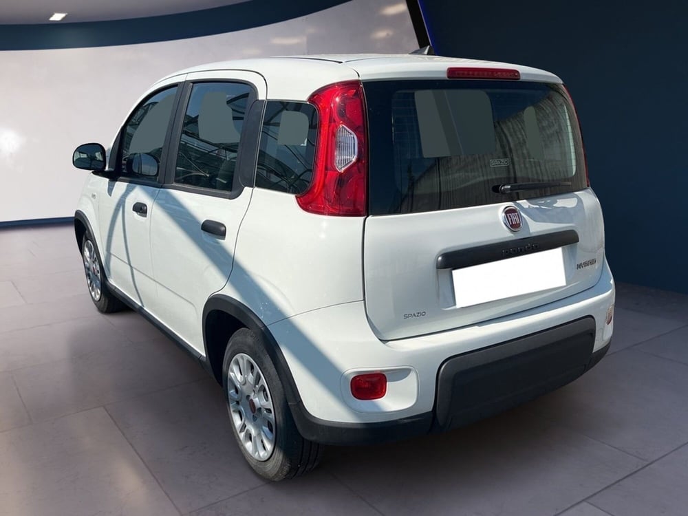 Fiat Panda usata a Torino (5)