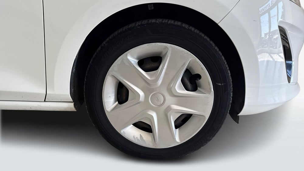 Ford Fiesta usata a Viterbo (18)